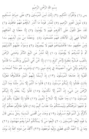 Terjemah Tafsir Surat Yasin Screenshot 2