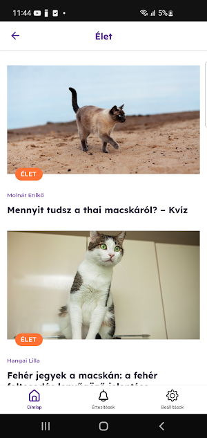 We love Catz Screenshot 1