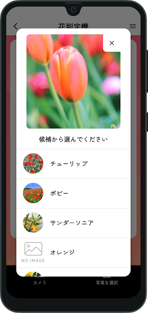 自然判定機 Screenshot 1
