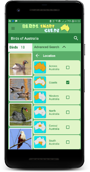 Australia Birds ID - Demo Screenshot 3