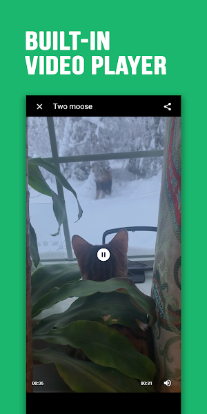 Video Downloader for Imgur Screenshot 3