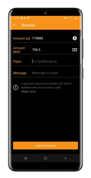 Satoshi - Bitcoin Wallet Screenshot 2