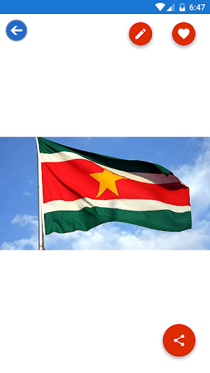 Suriname Flag Wallpaper: Flags, Country HD Images Screenshot 3