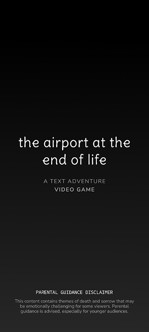 The Airport at the End of Life Screenshot 0