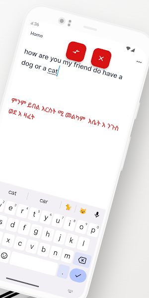 Amharic-English Translator Screenshot 1
