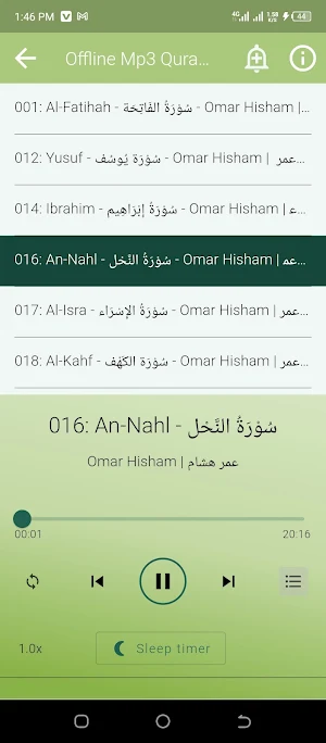 Omar Hisham Offline Mp3 Quran Screenshot 2