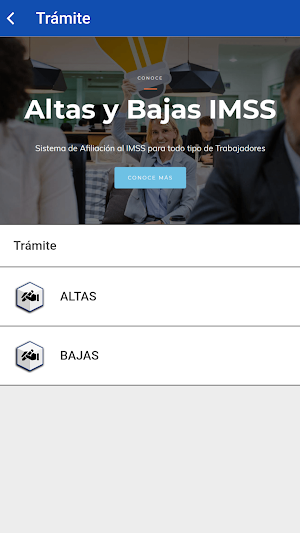 Altas y Bajas IMSS Screenshot 1