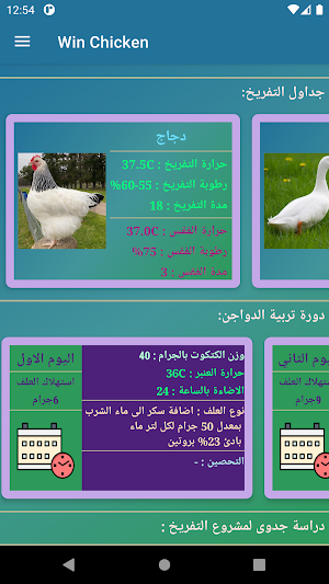 Win Chicken Screenshot 2