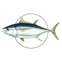 MadeiraFish