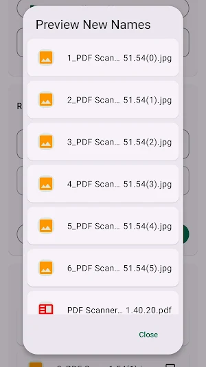 Batch Rename & Organizer Screenshot 3