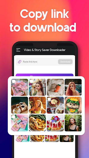 Video & Story Saver Downloader Screenshot 1