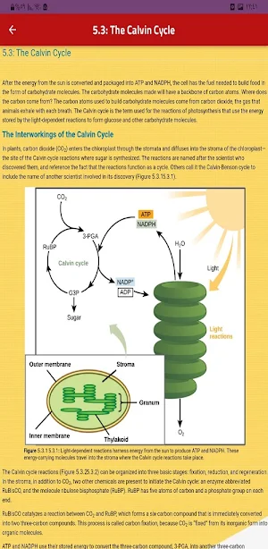Biology Screenshot 1