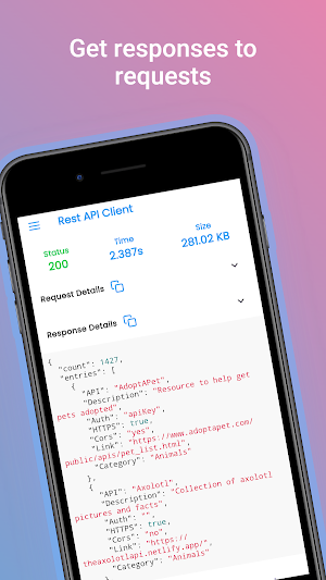 Rest API Client Screenshot 1