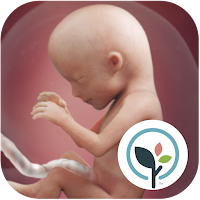 Pregnancy App & Baby Tracker