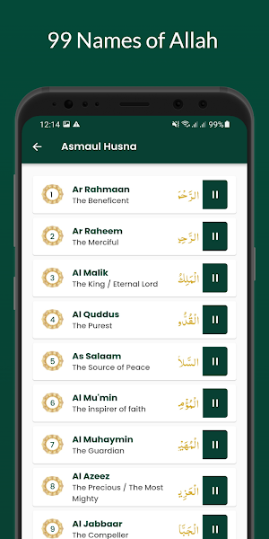 Islamer Alo - ইসলামের আলো Screenshot 1