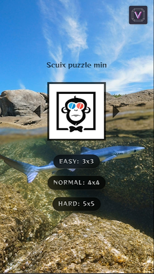 Scuix puzzle min Screenshot 2