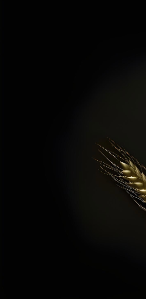 PUB Casino Screenshot 0