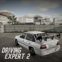 Driving Expert 2: Driving Sim