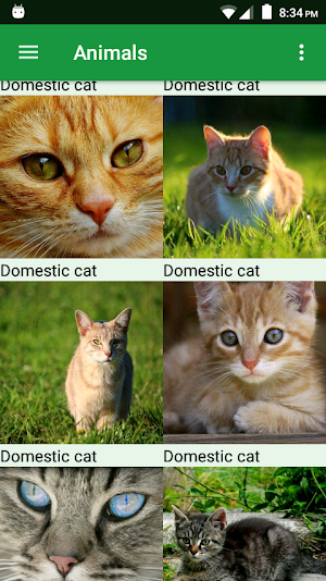 Cats Puzzle Screenshot 0