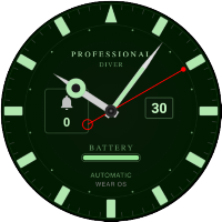 Diver Professional Watch Face