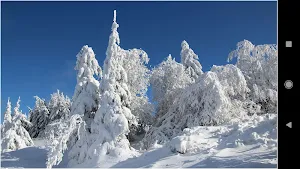 Germany Winter Wallpapers Screenshot 2