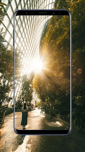 Summer Wallpapers and Backgrou Screenshot 2