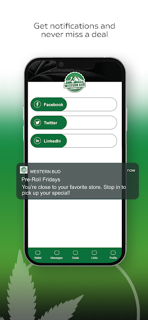 Western Bud Screenshot 2