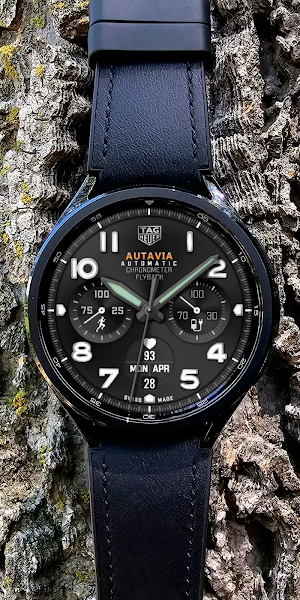 Analog TAG Autavia Watch face Screenshot 1