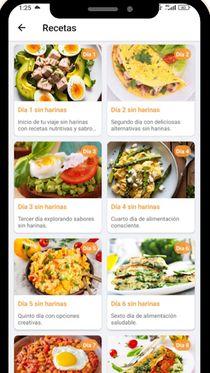 Recetas 21 Screenshot 3