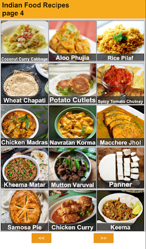 100 Indian Recipes Screenshot 3