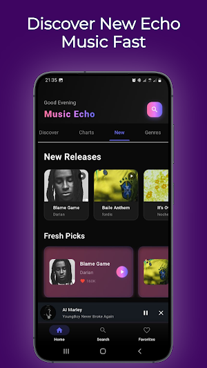 Music Echo - Echo Music Screenshot 0