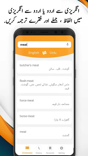 Urdu Dictionary Screenshot 0