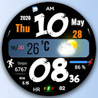 FSW315 Digital Watch Face
