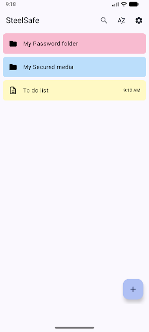 SteelSafe Screenshot 2