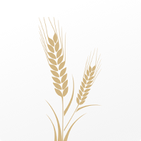 Martinson Ag