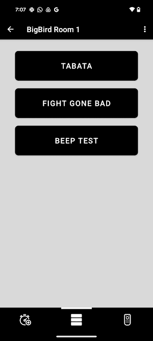 Timebirds Screenshot 1