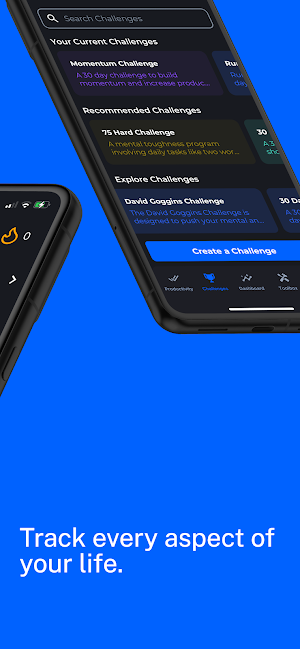 Momentum Productivity Screenshot 1