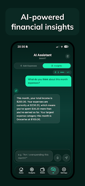 Ovlo: Budget Expense Tracker Screenshot 3