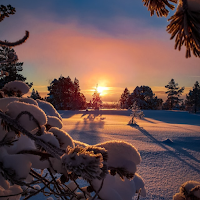 Nature Wallpaper