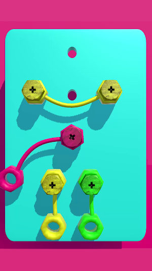 Knot and Nuts Screenshot 0