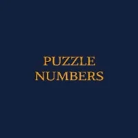 Puzzle Numbers