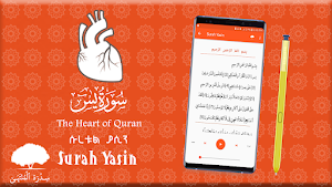 Suratul Yasin - Quran 036 Screenshot 3