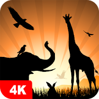 Animal Wallpapers 4K