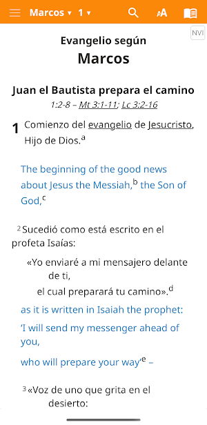 NVI Castellano Screenshot 2
