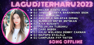 Lagu DJ Terharu 2023 Screenshot 0