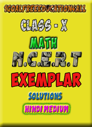Class 10 math(Hindi)Ncert exemplar Screenshot 0