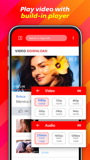 Video Download Master Screenshot 3