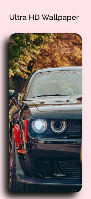 Dodge Challenger Car Wallpaper Screenshot 2