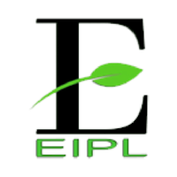 Everrise Infosolution