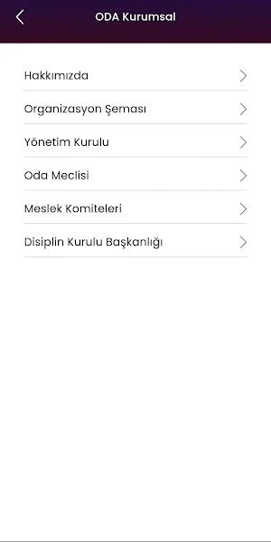 Söke Ticaret Odası Screenshot 2